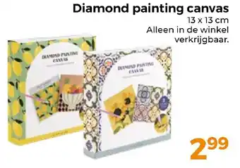 Trekpleister Diamond painting canvas aanbieding