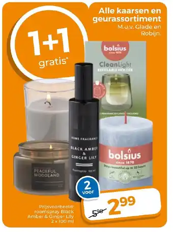 Trekpleister Alle kaarsen en geurassortiment aanbieding