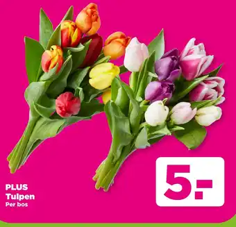 PLUS PLUS Tulpen aanbieding