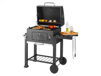 Lidl tepro Houtskoolbarbecue Toronto aanbieding