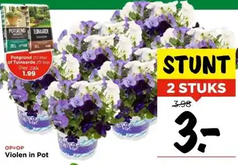 Vomar Voordeelmarkt OP=OP Violen in Pot aanbieding