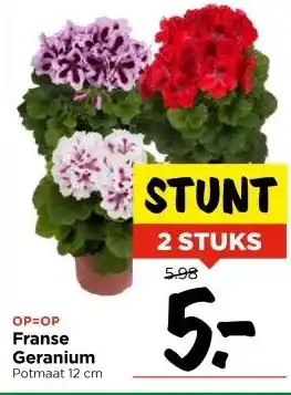 Vomar Voordeelmarkt Franse Geranium Potmaat 12 cm aanbieding