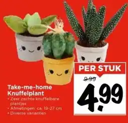 Vomar Voordeelmarkt Take-me-home Knuffelplant aanbieding