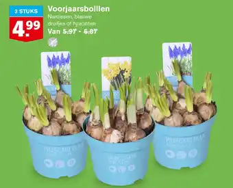 Hoogvliet Voorjaarsbolllen aanbieding