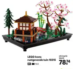 Intertoys LEGO Icons rustgevende tuin 10315 aanbieding