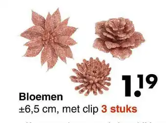 Wibra Bloemen aanbieding