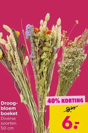 Xenos Droog- bloem boeket aanbieding