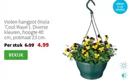 Intratuin Violen hangpot Viola Cool Wave aanbieding