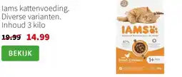 Intratuin lams kattenvoeding aanbieding