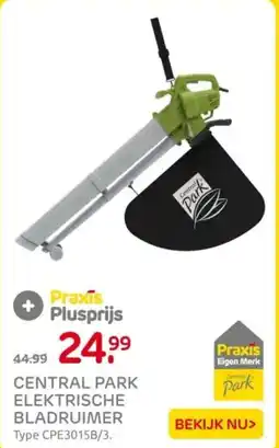 Praxis Central park elektrische bladruimer aanbieding