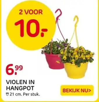 Praxis Violen in hangpot aanbieding