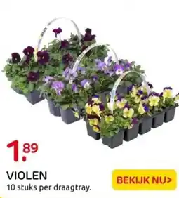 Praxis Violen aanbieding