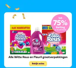 Plein.nl Alle Witte Reus en Fleuril grootverpakkingen aanbieding