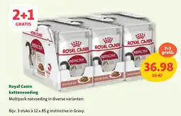 Maxi Zoo Royal Canin kattenvoeding aanbieding