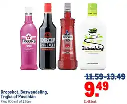 Makro Dropshot, Boswandeling, Trojka of Puschkin aanbieding