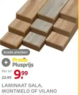 Praxis Laminaat gala, montmelo of vilano aanbieding