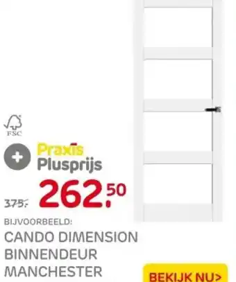 Praxis Cando dimension binnendeur manchester aanbieding