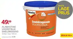 Praxis Alabastine voorstrijk sneldrogend aanbieding