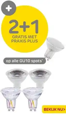 Praxis Op alle gu10 spots aanbieding