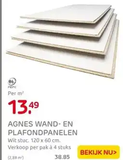 Praxis Agnes wand en plafondpanelen aanbieding