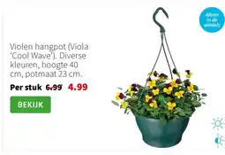 Intratuin Violen hangpot (Viola 'Cool Wave'). Diverse kleuren, hoogte 40 cm, potmaat 23 cm. aanbieding