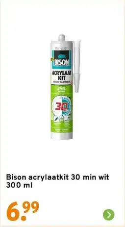 GAMMA Bison acrylaatkit 30 min wit 300 ml aanbieding