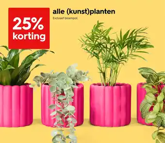 HEMA Alle (kunst) planten aanbieding