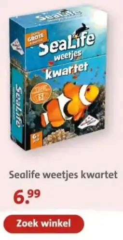 Bruna Sealife weetjes kwartet aanbieding