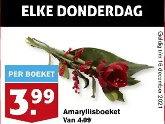 Hoogvliet Amaryllisboeket aanbieding