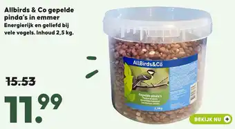 Pets Place Allbirds & Co gepelde pinda's in emmer aanbieding