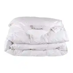 Bol.com Cinderella Soul Donzen Dekbed 4-seizoenen - Zomerdekbed & Winterdekbed - 2 Persoons - 240x220 cm aanbieding