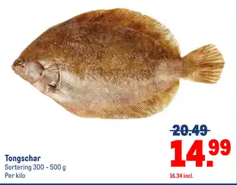 Makro Tongschar aanbieding
