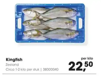 HANOS Kingfish aanbieding