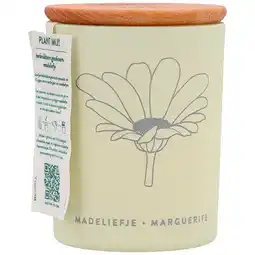 Holland & Barrett De Tuinen x Aroma Home Herbruikbare Geurkaars Madeliefje - 150g aanbieding