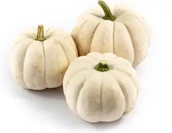 Intratuin Pompoen (Cucurbita 'Casperita') D 12,5 cm aanbieding