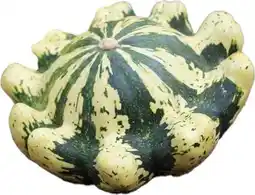 Intratuin Pompoen (Cucurbita 'Jaune et Verte') D 12 cm aanbieding