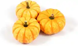 Intratuin Pompoen (Cucurbita 'Spark') D 10 cm aanbieding