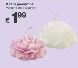 Kik Kaars pioenroos aanbieding