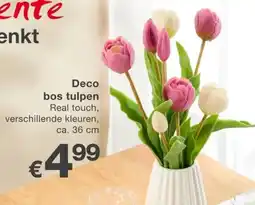 Kik Deco bos tulpen aanbieding