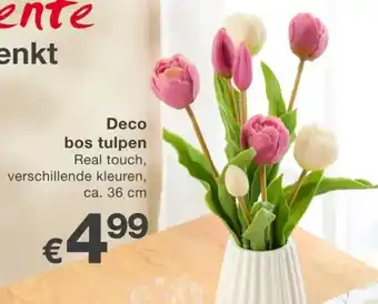 Kik Deco bos tulpen aanbieding