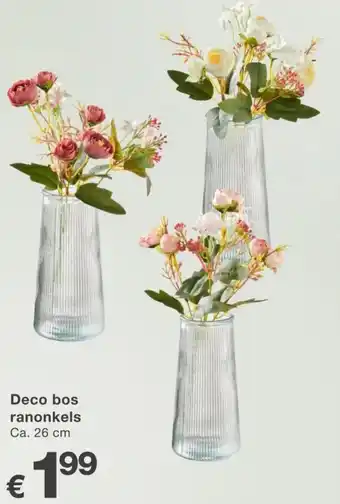 Kik Deco bos ranonkels aanbieding