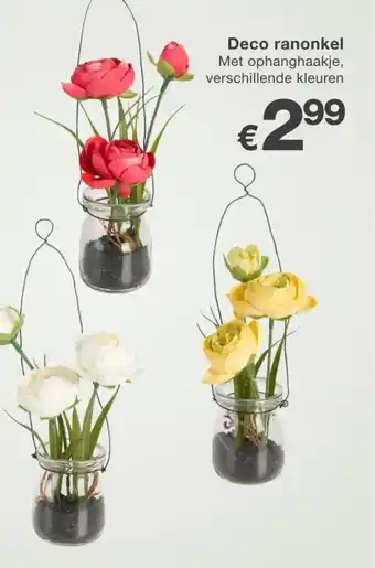 Kik Deco ranonkel aanbieding