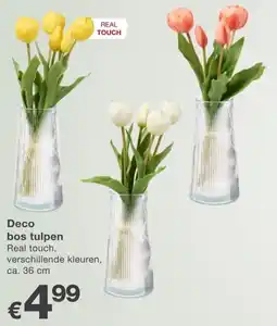 Kik Deco bos tulpen aanbieding