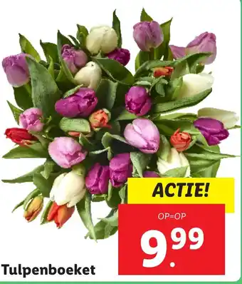 Lidl Tulpenboeket aanbieding