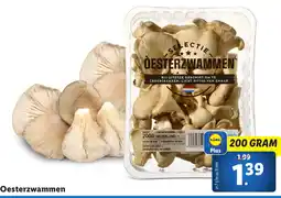 Lidl Oesterzwammen aanbieding