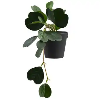 Leen Bakker Kunstplant Japonica in pot - groen - 22 cm - Leen Bakker aanbieding