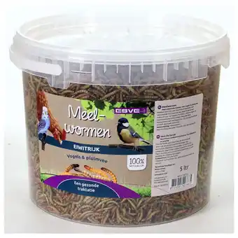 Pets Place Esve Meelwormen In Emmer - Voer - 1 kg aanbieding