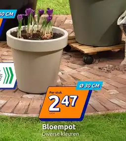 Action Bloempot aanbieding