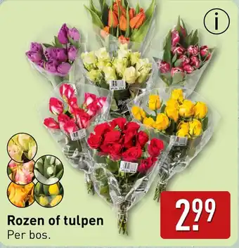 ALDI Rozen of tulpen aanbieding