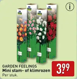 ALDI Garden Feelings Mini stam of klimrozen aanbieding